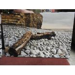 A pair of contemporary photographs on canvas of beach scenes, signed verso,