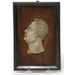 ROMAN MARBLE PROFILE PLAQUE OF MAN set in early 19th c. mahogany and bronze frame, marble measures