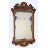 LARGE QUEEN ANNE WALNUT-VENEERED WALL MIRROR 18th c., old color, applied carved gilt shell and