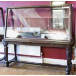 A LARGE 19TH CENTURY MAHOGANY FRAMED MARITIME MUSEUM SLOPING DISPLAY CABINET, the angled