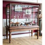 A LARGE 19TH CENTURY MAHOGANY FRAMED RECTANGULAR MUSEUM DISPLAY CABINET, opening to both ends,