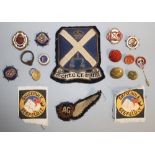 A COLLECTION OF ENAMEL AND CLOTH BADGES, to include nautical interest, military etc. Buyers - for