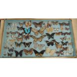 A FRAMED COLLECTION CASE OF FIFTY EIGHT SPECIMEN BUTTERFLIES, to include exotic examples, case