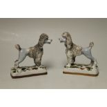 A PAIR OF STAFFORDSHIRE POODLES, standing on rectangular naturalistic bases, with gilt lined detail,