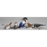Fünf Vogelskulpturen, Bing & Gröndahl.Je mit bunter Unterglasurbemalung: Eisvogel, H. 11,5 cm;