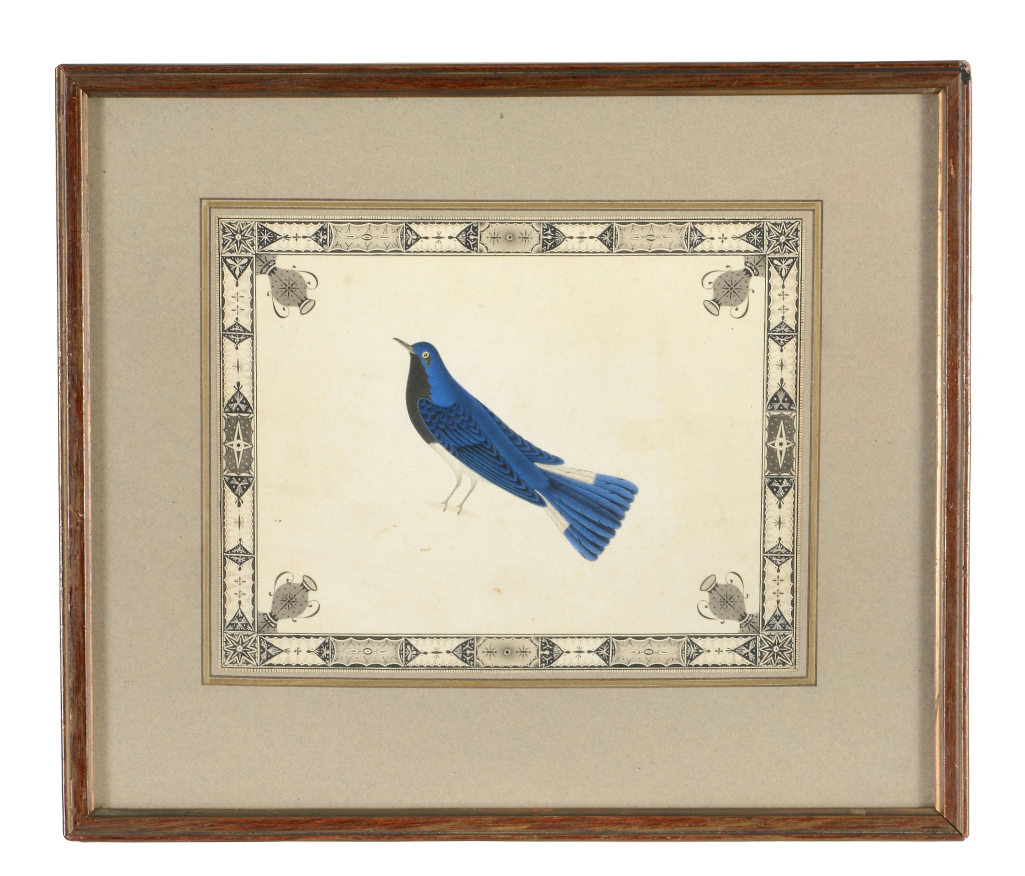 English Colonial School (19th century) - Ornithological studies Six watercolours, within - Image 5 of 6