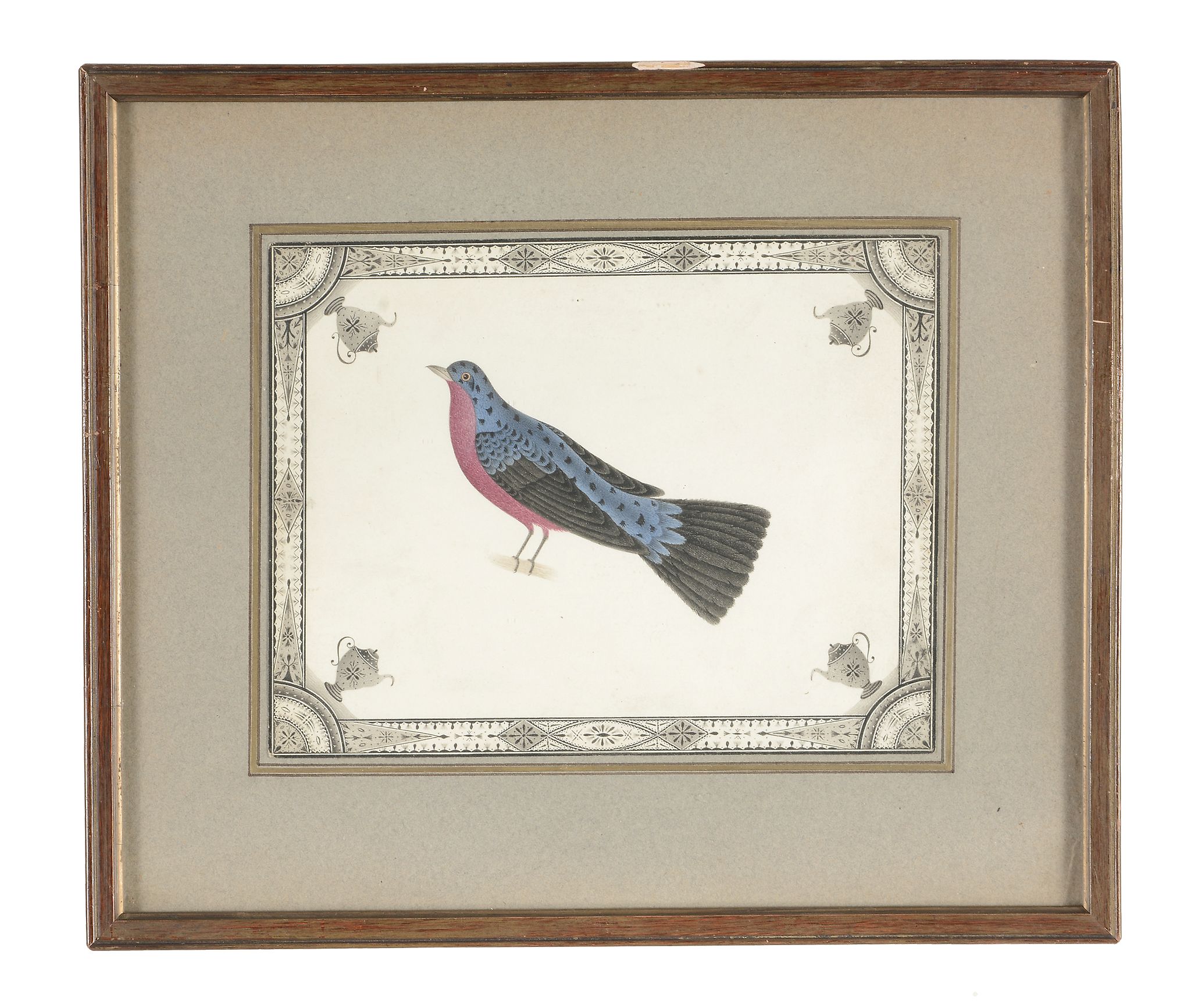 English Colonial School (19th century) - Ornithological studies Six watercolours, within - Image 4 of 6