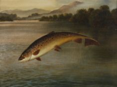 A Roland Knight (fl.1879-1921) - A leaping trout Oil on canvas Signed lower right 38 x 51 cm (15 x