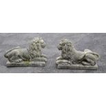 A pair of reconstituted stone garden models of recumbent lions , second half A pair of reconstituted