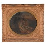 English School (late 19th Century) Resting Tiger Oil on panel Indistinct signature Wood and dated ?