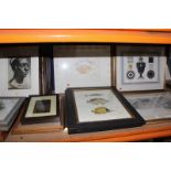 Quantity of decorative prints of various subjects to include Serves porcelain, sculpture, fish,
