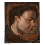 After/Follower of Van Dyck - Profile head study of a boy Oil on paper[?], laid on panel  16.5 x 14