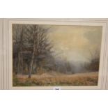 James Watts (1853-1930) Deer in woodland Watercolour Signed lower left 24cm x 34cm