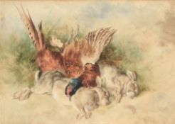 Heywood Hardy (1842-1933) - Still life with two hares and a pheasant Watercolour, over pencil, on