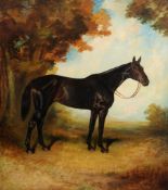 James Lynwood Palmer (1868-1941) - Sir Charles Assheton-Smith's "Cackler" Oil on canvas 127 x 112
