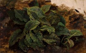 Circle of John Middleton (1828-1856) - Study of leaves Oil on laid paper Indistinctly inscribed