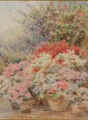 George Samuel Elgood (1851-1943) - Cottage Garden, Ramscliffe Pencil and watercolour Signed and