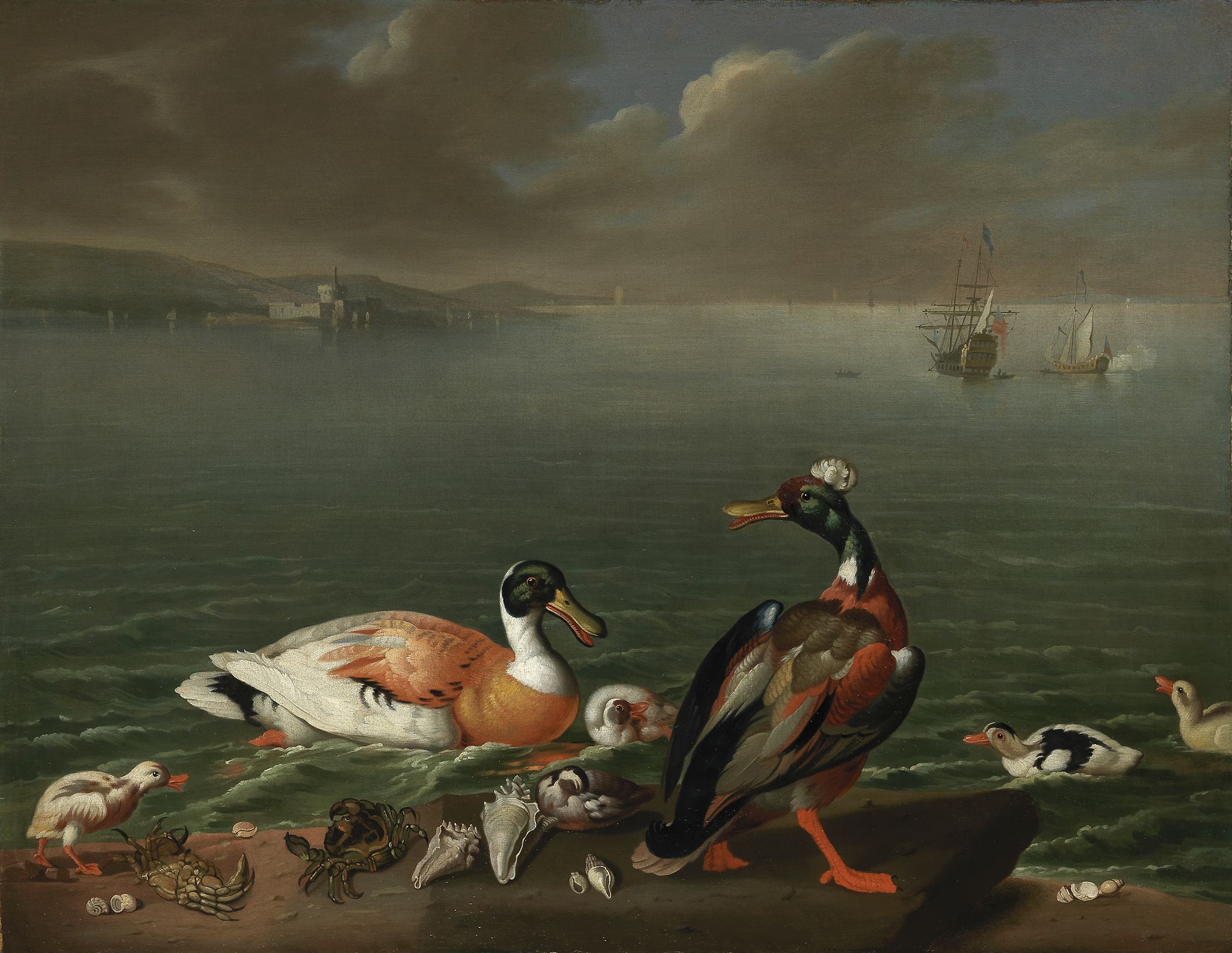 Attributed to James Barbut and Peter Monamy Exotic Ducks and ducklings on... Attributed to James