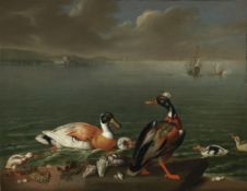 Attributed to James Barbut and Peter Monamy Exotic Ducks and ducklings on... Attributed to James