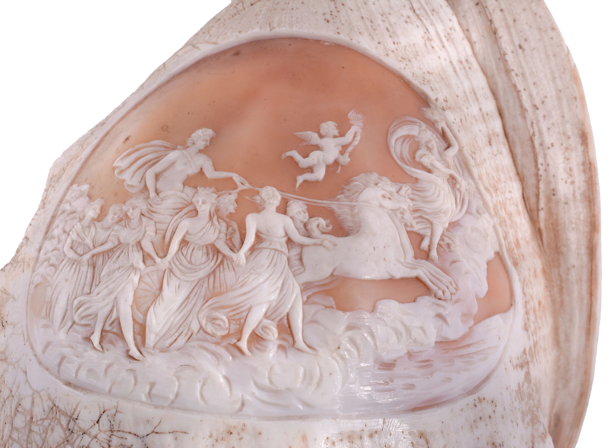 An Italian conch shell carved with a shaped oval figural cameo  An Italian conch shell carved with a - Image 2 of 2