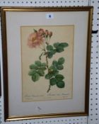 A collection of eighteen botanical colour prints, various sizes (18). Best Bid