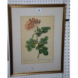 A collection of eighteen botanical colour prints, various sizes (18). Best Bid