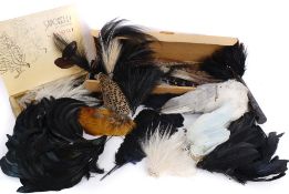 A large collection of late 19th and early 20th century feathers, including: pale blue dyed millinery
