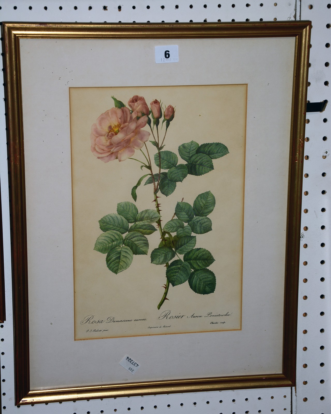 A collection of eighteen botanical colour prints, various sizes (18)Best Bid