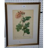 A collection of eighteen botanical colour prints, various sizes (18)Best Bid
