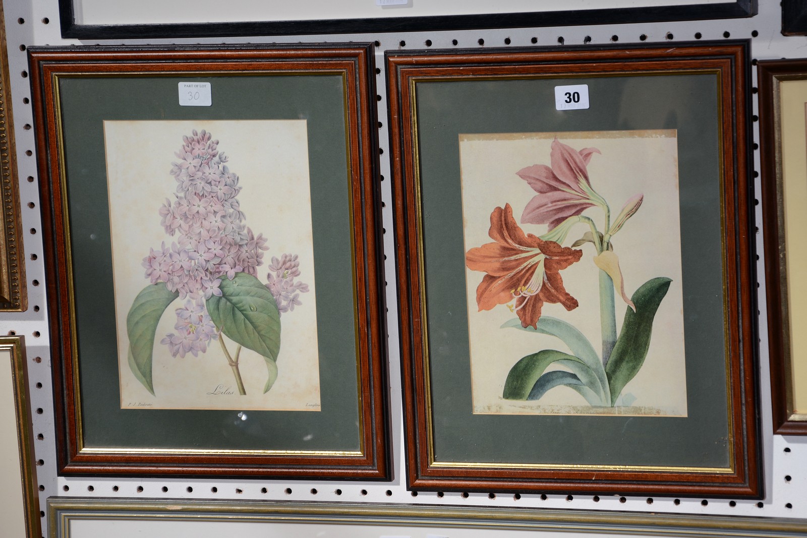 After Redoute 'Loilas' Botanical prints, a pair 27cm x 20cm -2 Best Bid