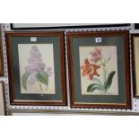 After Redoute 'Loilas' Botanical prints, a pair 27cm x 20cm -2 Best Bid