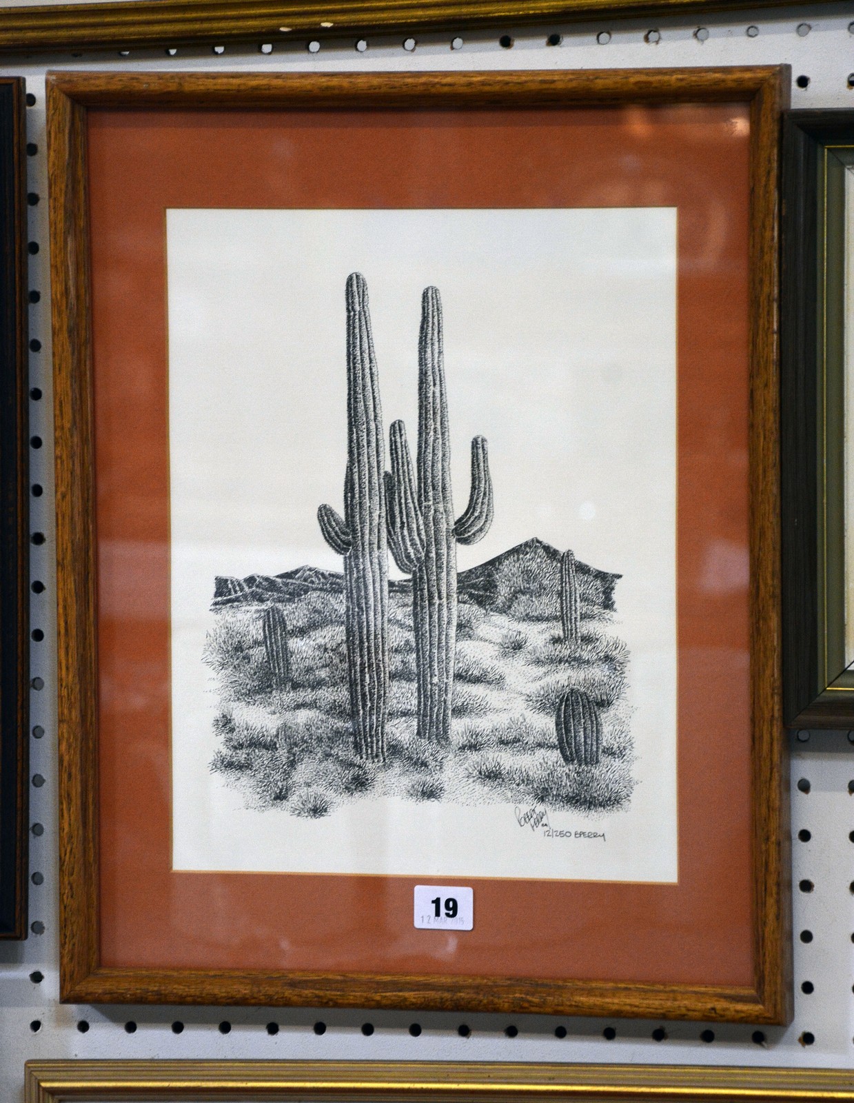 Bert Perry (20th Century) A Cactus Limited edition print 12/250 Signed lower right 34cm x 27cm