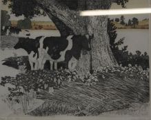 * June Berry RWS (British, b. 1924) 'Cool Cows' Artists Proof Signed lower right 42cm x 50cm; 'Early