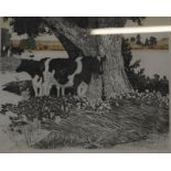 * June Berry RWS (British, b. 1924) 'Cool Cows' Artists Proof Signed lower right 42cm x 50cm; 'Early