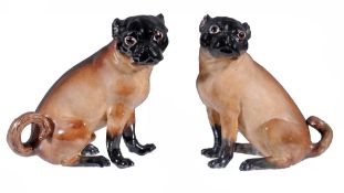 A pair of Meissen (outside decorated) models of pugs  , late 19th century,  each seated, with brown