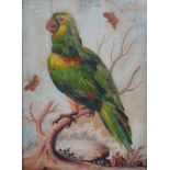 George Edwards (1694-1773)   A Parrot in a landscape  Watercolour and parrots feathers Signed and