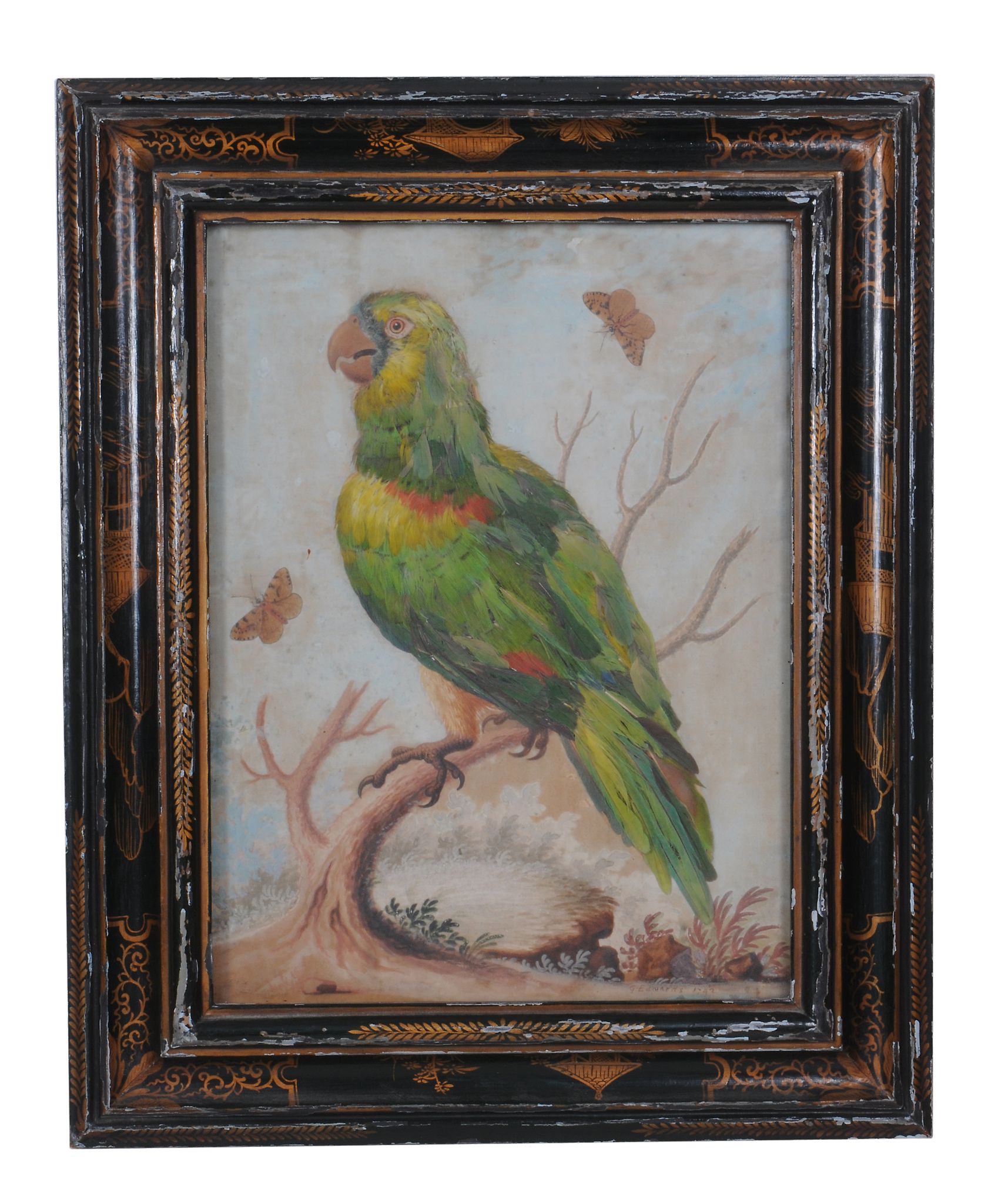 George Edwards (1694-1773)   A Parrot in a landscape  Watercolour and parrots feathers Signed and - Image 2 of 2