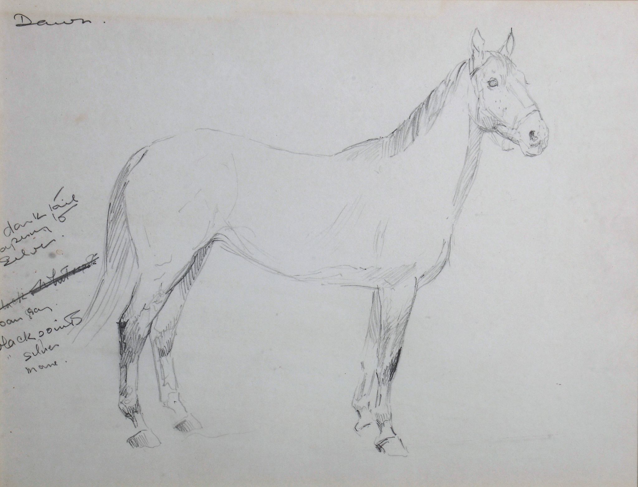 Molly Maurice Latham (1900-1987)  Ticky, a hunter, with rider up  Pencil Inscribed lower left Ticky - Image 3 of 6