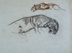Arthur Wardle (1864-1949) - Studies of lionesses Pastel on blue coloured paper Sheet c.29 x 43