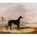 Circle of John E. Ferneley - 'Kent', a coursing greyhound, in an extensive landscape Oil on canvas