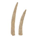 Two Loango, West African, Tusk Carvings  , each following the natural curve of the tusk and carved