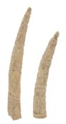 Two Loango, West African, Tusk Carvings  , each following the natural curve of the tusk and carved