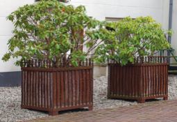 A pair of Continental wrought iron planters, 20th century  A pair of Continental wrought iron