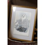 A quantity of prints mainly bird and floral subjects (qty)