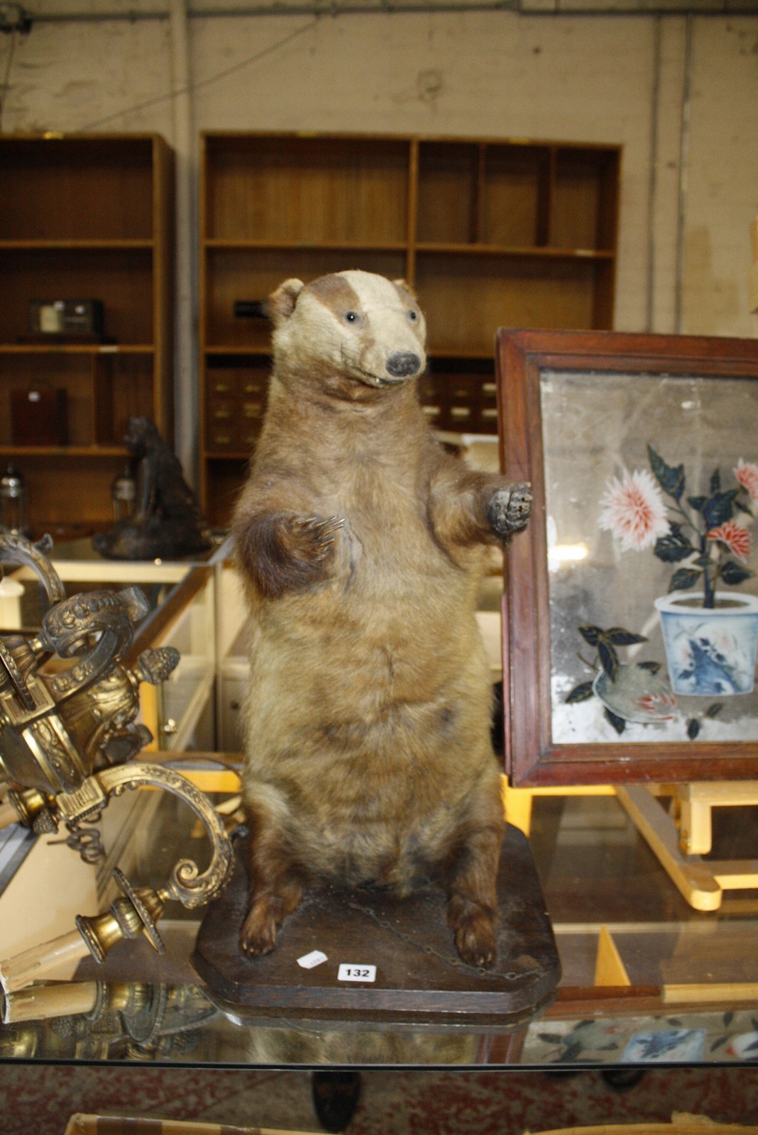 A taxidermy badger, standing, on wooden plinth base, 60cm high approx. Best Bid