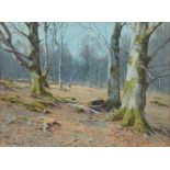 Thomas Ellison (1866-1942) - Woodland view Watercolour Signed lower left 44 x 59 cm. (17 1/4 x 23