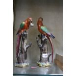 Pair of Meissen models of parrots, blue cross swords mark, 30cm and 18cm high (AF) Best Bid