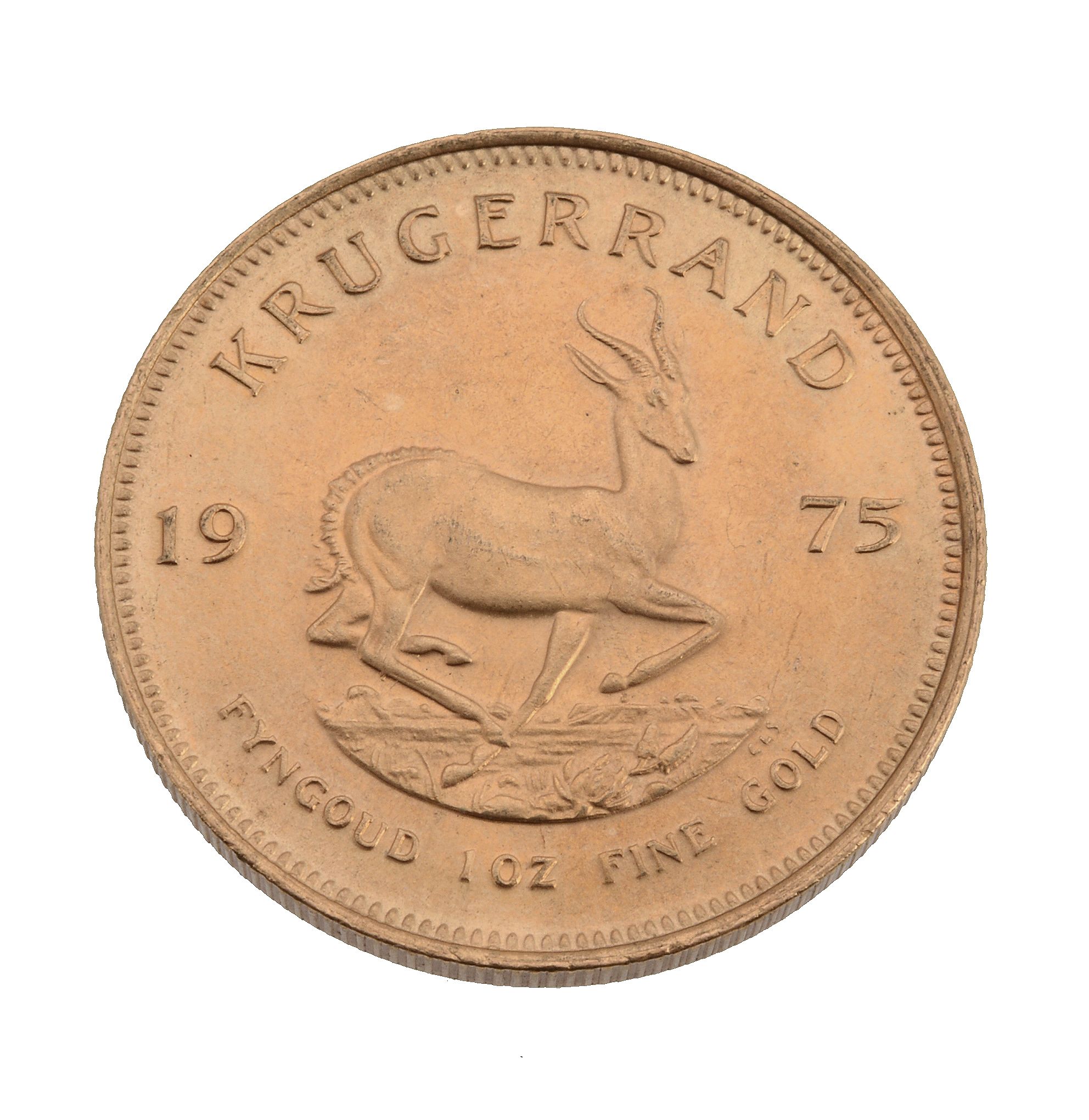 South Africa, gold Krugerrand 1975. Extremely fine - Image 2 of 2