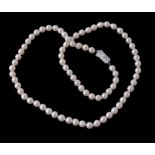 A single row of freshwater cultured pearls, uniform freshwater pearls with an unassociated clasp,