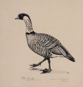 Sir Peter Markham Scott (1909-1989) - Hawaiin goose; Spotted duck and African Pygmy Geese Two